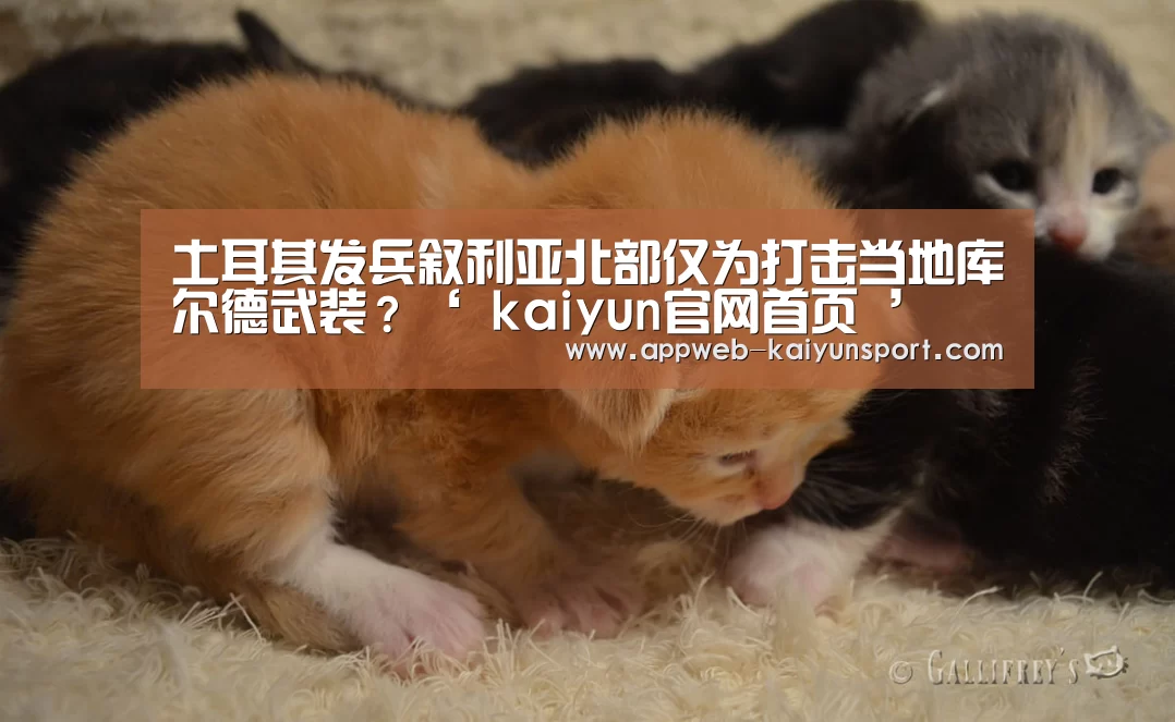  kaiyun官网首页 
