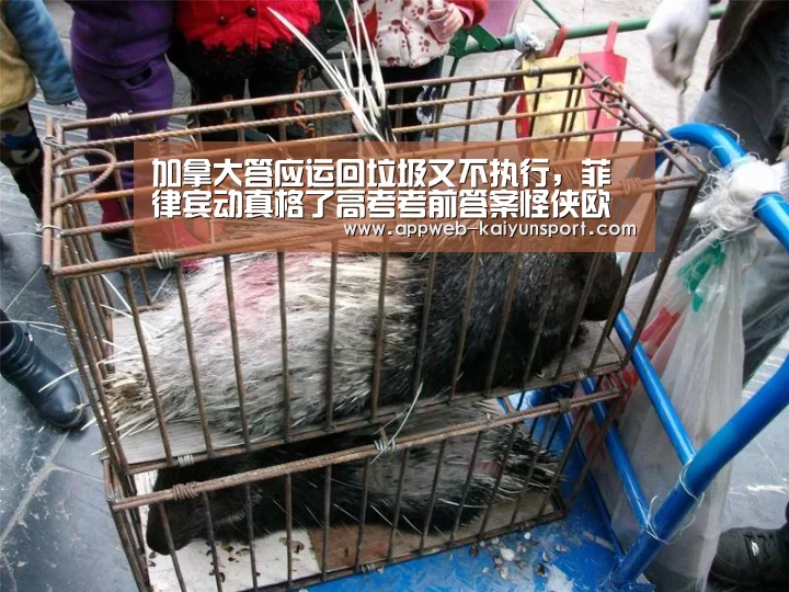 开云 
